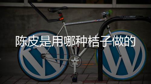 做的陈皮哪种是用桔子